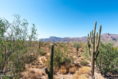 Wow! Build your Dream Home on this Large Vacant Lot on on Gold Canyon Golf Resort  in Arizona - for sale on GolfHomes.com, golf home, golf lot