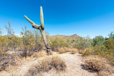 Wow! Build your Dream Home on this Large Vacant Lot on on Gold Canyon Golf Resort  in Arizona - for sale on GolfHomes.com, golf home, golf lot