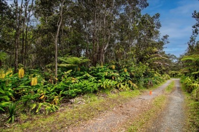 Tucked away in Volcano Village, this property is quiet, serene on Volcano Golf and Country Club in Hawaii - for sale on GolfHomes.com, golf home, golf lot