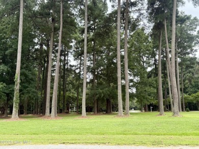 Build Your Dream Home in Albemarle Plantation! This spacious lot on Sound Golf Links at Albemarle Plantation in North Carolina - for sale on GolfHomes.com, golf home, golf lot
