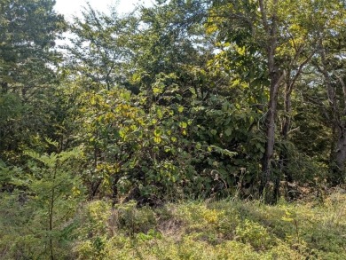 Ready to build your dream home? Near the main entrance, your new on Holiday Island Golf Course in Arkansas - for sale on GolfHomes.com, golf home, golf lot