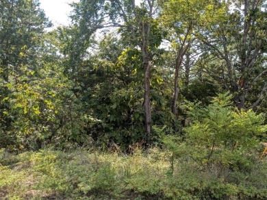 Ready to build your dream home? Near the main entrance, your new on Holiday Island Golf Course in Arkansas - for sale on GolfHomes.com, golf home, golf lot