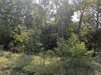 Ready to build your dream home? Near the main entrance, your new on Holiday Island Golf Course in Arkansas - for sale on GolfHomes.com, golf home, golf lot