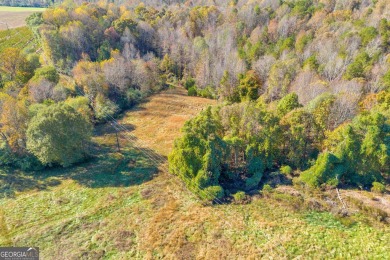 125 Waco Dr is a 18+ acre commercial property in Homer, Ga! on Chimney Oaks Golf Club in Georgia - for sale on GolfHomes.com, golf home, golf lot