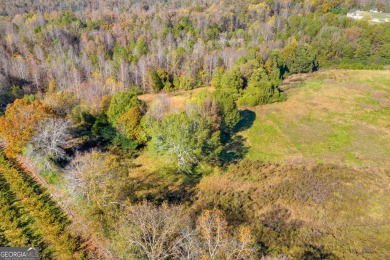 125 Waco Dr is a 18+ acre commercial property in Homer, Ga! on Chimney Oaks Golf Club in Georgia - for sale on GolfHomes.com, golf home, golf lot