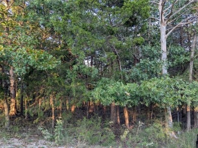 Ready to build your dream home? Nestled in a gently wooded area on Holiday Island Executive Golf Course in Arkansas - for sale on GolfHomes.com, golf home, golf lot