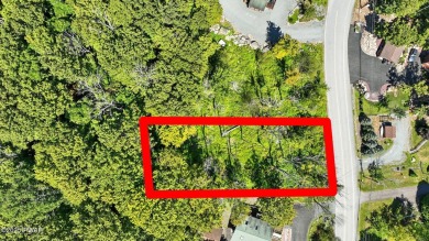 Vacant Lot Across from Roamingwood Lake in The Hideout!This on The Hideout Golf in Pennsylvania - for sale on GolfHomes.com, golf home, golf lot