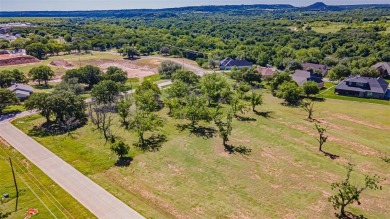 1.9 Acre Premium Corner Lot with Mature Oak and Pecan Trees on Pecan Plantation Country Club in Texas - for sale on GolfHomes.com, golf home, golf lot
