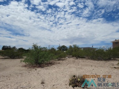 60x 200 Lot In Elephant Butte. Paved Road,City Water,Natural Gas on Sierra Del Rio Golf Club in New Mexico - for sale on GolfHomes.com, golf home, golf lot