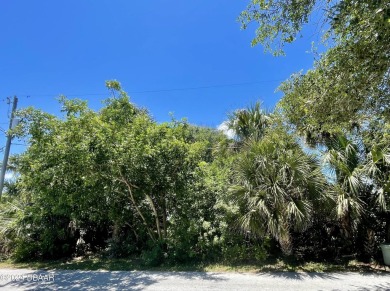 Build Your Dream Home by the Sea - Premium Lot in Ponce Inlet on Harbour Village Golf and Yacht Club in Florida - for sale on GolfHomes.com, golf home, golf lot