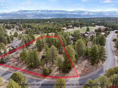 Mistalyn Kuzov, United Country Sneffels Realty, C: , mistalynk on The Divide Ranch and Club in Colorado - for sale on GolfHomes.com, golf home, golf lot