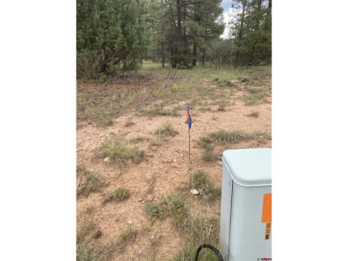 Mistalyn Kuzov, United Country Sneffels Realty, C: , mistalynk on The Divide Ranch and Club in Colorado - for sale on GolfHomes.com, golf home, golf lot