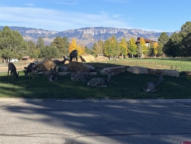 Mistalyn Kuzov, United Country Sneffels Realty, C: , mistalynk on The Divide Ranch and Club in Colorado - for sale on GolfHomes.com, golf home, golf lot
