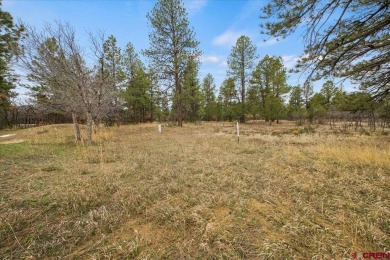 Mistalyn Kuzov, United Country Sneffels Realty, C: , mistalynk on The Divide Ranch and Club in Colorado - for sale on GolfHomes.com, golf home, golf lot