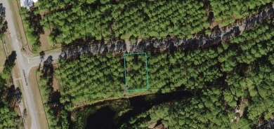 Wooded Lot on Royal Tern Way in St. James Bay Subdivision. Enjoy on St. James Bay in Florida - for sale on GolfHomes.com, golf home, golf lot