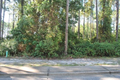 Wooded Lot on Royal Tern Way in St. James Bay Subdivision. Enjoy on St. James Bay in Florida - for sale on GolfHomes.com, golf home, golf lot