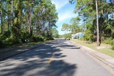 Wooded Lot on Royal Tern Way in St. James Bay Subdivision. Enjoy on St. James Bay in Florida - for sale on GolfHomes.com, golf home, golf lot