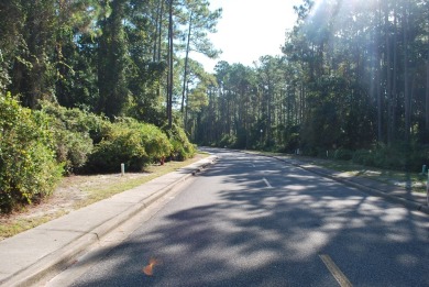 Wooded Lot on Royal Tern Way in St. James Bay Subdivision. Enjoy on St. James Bay in Florida - for sale on GolfHomes.com, golf home, golf lot