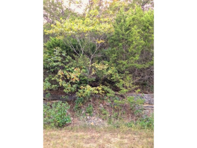 Ready to build your dream home? This lot is nestled in a gently on Holiday Island Executive Golf Course in Arkansas - for sale on GolfHomes.com, golf home, golf lot