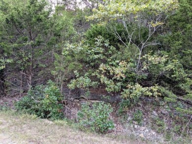 Ready to build your dream home? This lot is nestled in a gently on Holiday Island Executive Golf Course in Arkansas - for sale on GolfHomes.com, golf home, golf lot