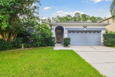 New Price Improvement for buyer upgrades/updates! (No damage on East Lake Woodlands Country Club in Florida - for sale on GolfHomes.com, golf home, golf lot