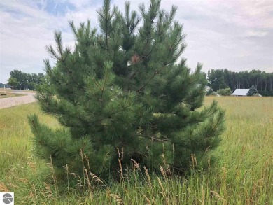 4 lots at 1.24 acres in the village of Lake Isabella. $260 a on The Pines Golf Course at Lake Isabella in Michigan - for sale on GolfHomes.com, golf home, golf lot