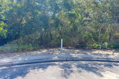 Build your dream home on this beautiful cul-de-sac lot on St. James Bay in Florida - for sale on GolfHomes.com, golf home, golf lot