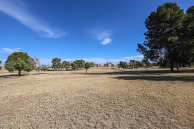 Scenic Greenbelt views in a newly Renovated 2-Bedroom, 1.5-Bath on Stonecreek Golf Club in Arizona - for sale on GolfHomes.com, golf home, golf lot