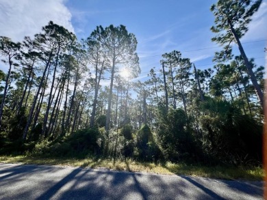 Calling all serious golfers.  This 0.68 acre wooded lot is on St on Saint Josephs Bay Country Club in Florida - for sale on GolfHomes.com, golf home, golf lot