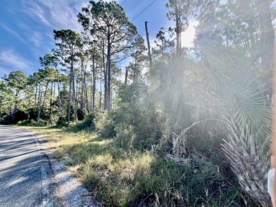 Calling all serious golfers.  This 0.68 acre wooded lot is on St on Saint Josephs Bay Country Club in Florida - for sale on GolfHomes.com, golf home, golf lot
