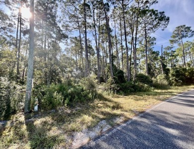 Calling all serious golfers.  This 0.68 acre wooded lot is on St on Saint Josephs Bay Country Club in Florida - for sale on GolfHomes.com, golf home, golf lot