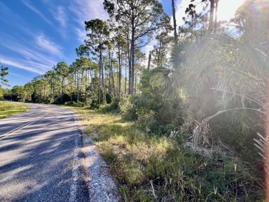 Calling all serious golfers.  This 0.68 acre wooded lot is on St on Saint Josephs Bay Country Club in Florida - for sale on GolfHomes.com, golf home, golf lot