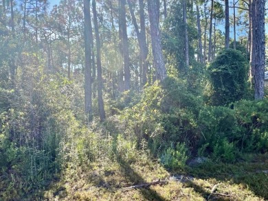 Calling all serious golfers.  This 0.68 acre wooded lot is on St on Saint Josephs Bay Country Club in Florida - for sale on GolfHomes.com, golf home, golf lot