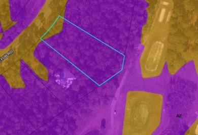 Calling all serious golfers.  This 0.68 acre wooded lot is on St on Saint Josephs Bay Country Club in Florida - for sale on GolfHomes.com, golf home, golf lot