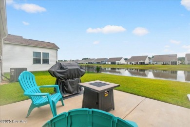 Discover exceptional living at 195 Hawks Run Drive in Eagle Run on Crow Creek Golf Club in North Carolina - for sale on GolfHomes.com, golf home, golf lot