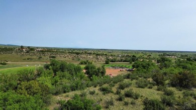 Experience the most spectacular mountain views in the area from on Hollydot Golf Course in Colorado - for sale on GolfHomes.com, golf home, golf lot
