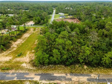 Discover the perfect opportunity to design your ideal Florida on Pine Ridge Community Golf and Country Club in Florida - for sale on GolfHomes.com, golf home, golf lot