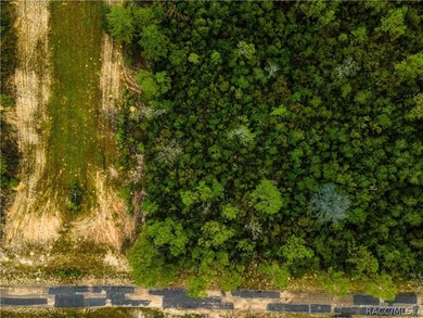 Discover the perfect opportunity to design your ideal Florida on Pine Ridge Community Golf and Country Club in Florida - for sale on GolfHomes.com, golf home, golf lot