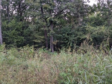 Ready to build your dream home? Quiet and gently wooded with on Holiday Island Executive Golf Course in Arkansas - for sale on GolfHomes.com, golf home, golf lot