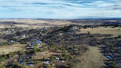 160 Acres of God's country! Stellar views of the entire valley on Hollydot Golf Course in Colorado - for sale on GolfHomes.com, golf home, golf lot