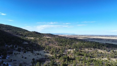 160 Acres of God's country! Stellar views of the entire valley on Hollydot Golf Course in Colorado - for sale on GolfHomes.com, golf home, golf lot