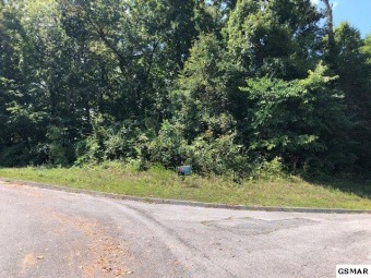 Wonderful...Hilltop.. corner lot in the exclusive Pheasants on Sevierville Golf Club in Tennessee - for sale on GolfHomes.com, golf home, golf lot