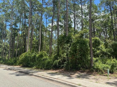 Prime vacant lot in St. James Golf & Pickleball Resort! Discover on St. James Bay in Florida - for sale on GolfHomes.com, golf home, golf lot