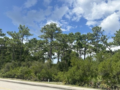 Prime vacant lot in St. James Golf & Pickleball Resort! Discover on St. James Bay in Florida - for sale on GolfHomes.com, golf home, golf lot