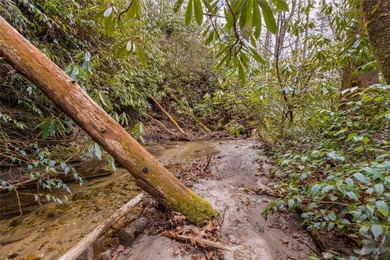 Enjoy a private 0.75-acre setting with the year-round sounds of on Sapphire National Golf Club in North Carolina - for sale on GolfHomes.com, golf home, golf lot