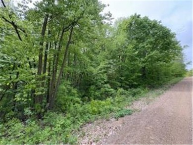 Known for its walleye, this lot is just minutes away from on Hardwoods Golf Club At Mille Lacs in Minnesota - for sale on GolfHomes.com, golf home, golf lot