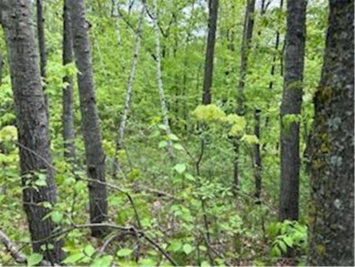 Known for its walleye, this lot is just minutes away from on Hardwoods Golf Club At Mille Lacs in Minnesota - for sale on GolfHomes.com, golf home, golf lot