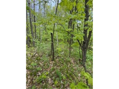 Known for its walleye, this lot is just minutes away from on Hardwoods Golf Club At Mille Lacs in Minnesota - for sale on GolfHomes.com, golf home, golf lot