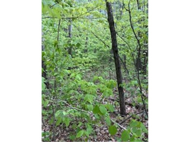 Known for its walleye, this lot is just minutes away from on Hardwoods Golf Club At Mille Lacs in Minnesota - for sale on GolfHomes.com, golf home, golf lot