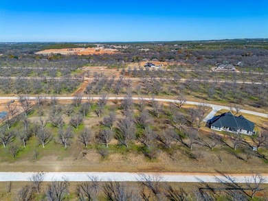 Howdy! Welcome to The Landings East at Pecan Plantation, the on Pecan Plantation Country Club in Texas - for sale on GolfHomes.com, golf home, golf lot